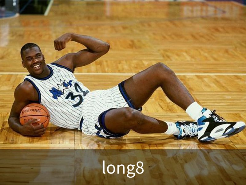 了解long8